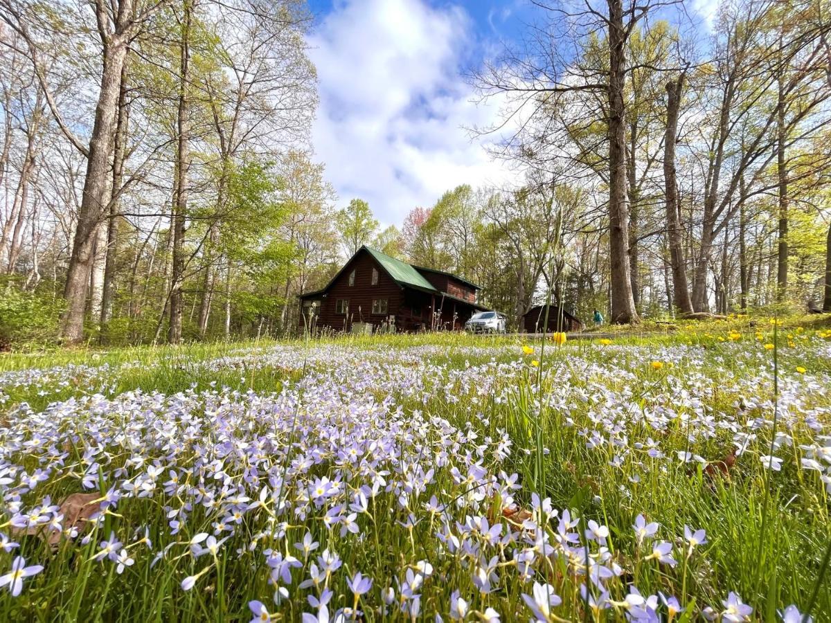 Beautiful Cabin On 83 Acres Near New River Gorge National Park Hico Exterior foto