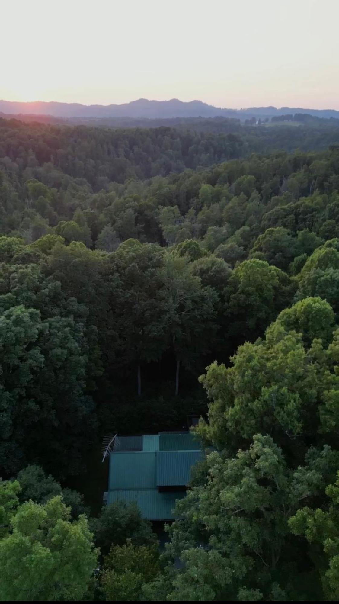 Beautiful Cabin On 83 Acres Near New River Gorge National Park Hico Exterior foto